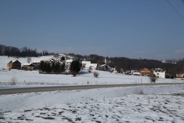 W44B9577.JPG