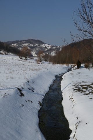W44B9585.JPG