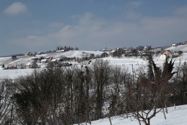 W44B9514.JPG