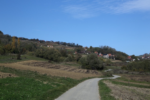 W44B8907.JPG